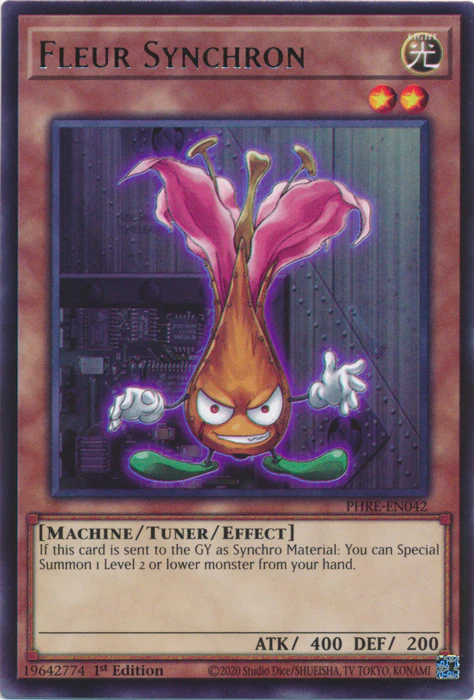 Fleur Synchron (PHRE-EN042)