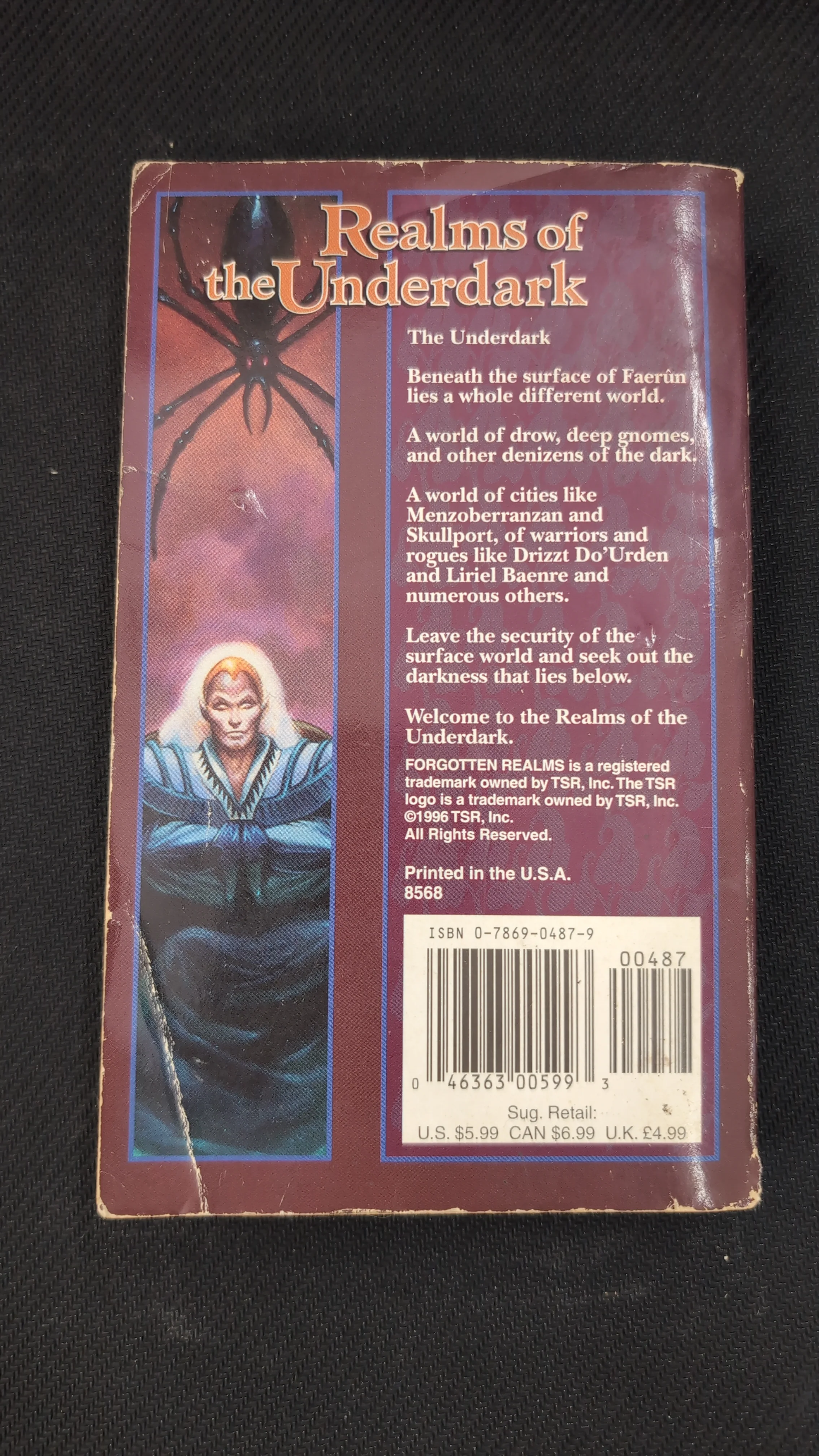 Forgotten Realms: Realms of the Underdark [ Paperback ] (USED) - Image 2