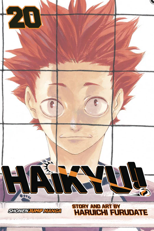 HAIKYU GN VOL 13