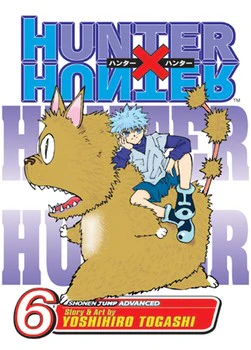 HUNTER X HUNTER GN VOL 6