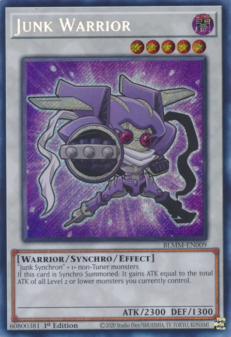 Junk Warrior (BLMM-EN009)