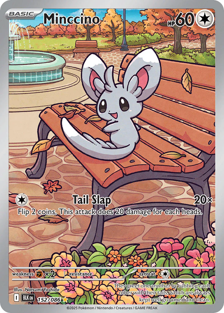 Minccino - 152/086 (BLK) Illustration Rare