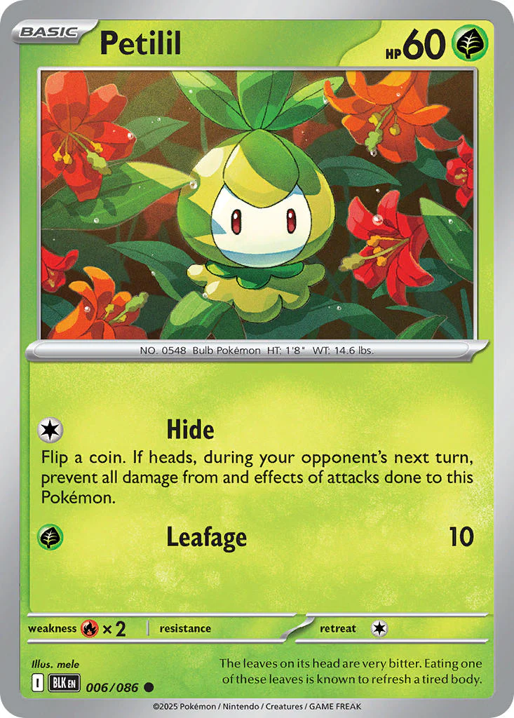 Petilil (Master Ball Pattern) - 006/086 (BLK) Common