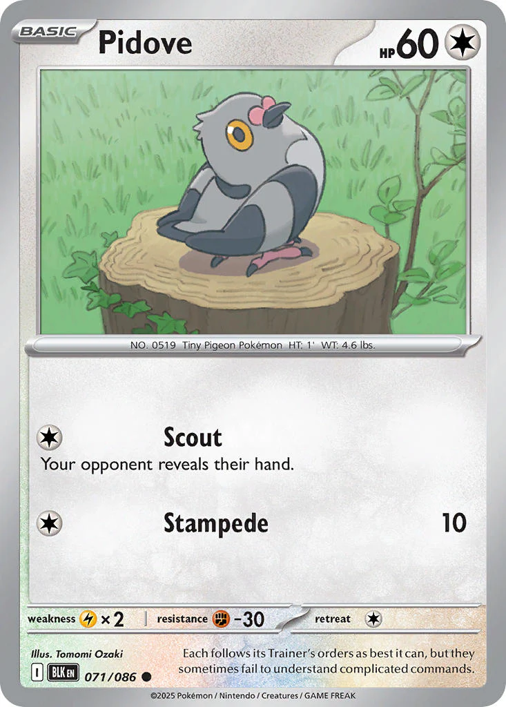 Pidove (Master Ball Pattern) - 071/086 (BLK) Common