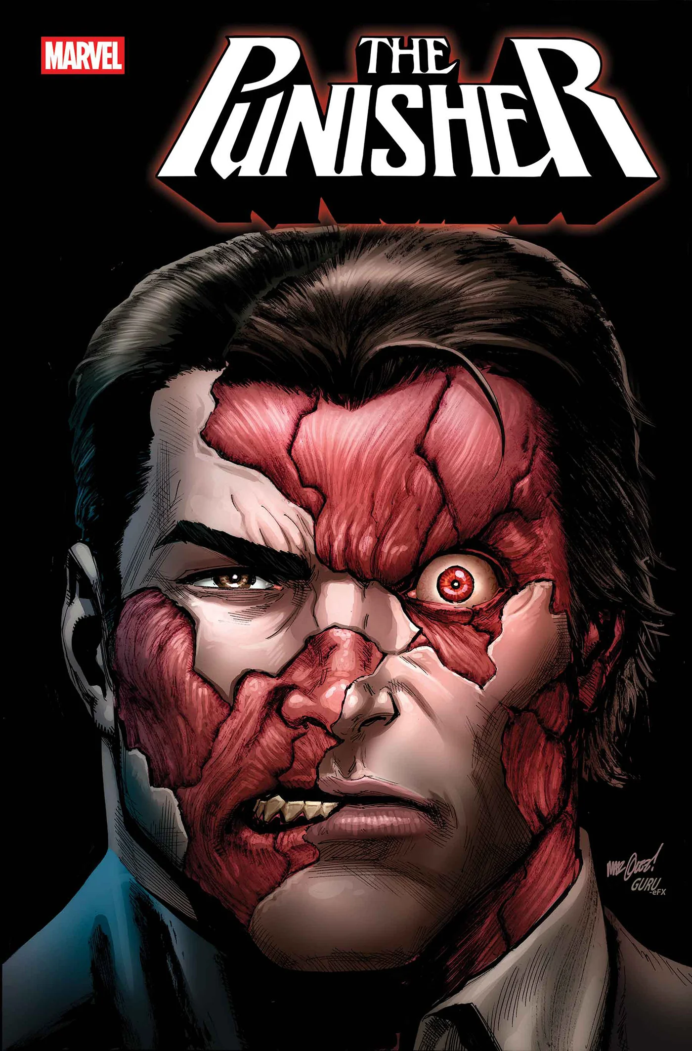 PUNISHER #2 - Image 2